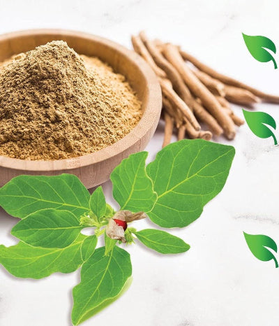Wooden bowl with green powder, fresh green leaves, and dried roots on a white background.